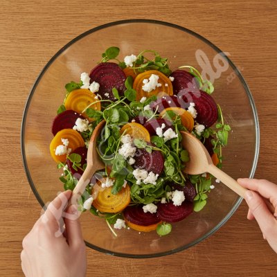 Rote-Bete-, Ziegenkäse- und Brunnenkressesalat